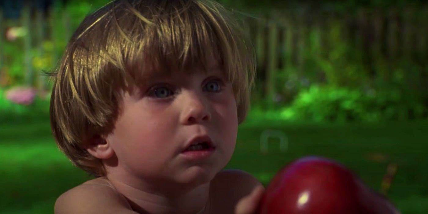 What Happened To Dennis The Menace's Gunther After The Movie - NEWSTARS ...