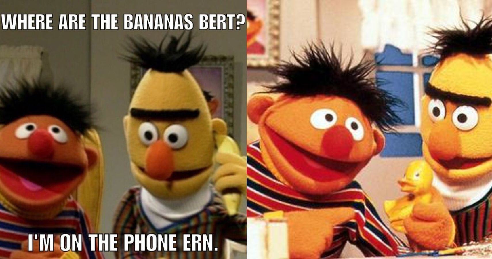 Sesame Street: 10 Hilarious (& Adorable) Bert And Ernie Memes ...