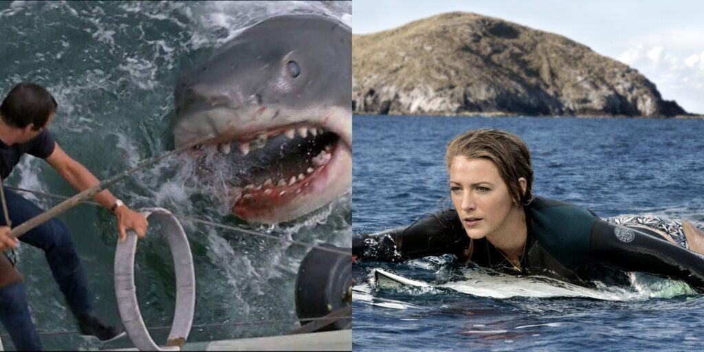 10 Shark Movies To Watch If You Liked The Requin NEWSTARS Education