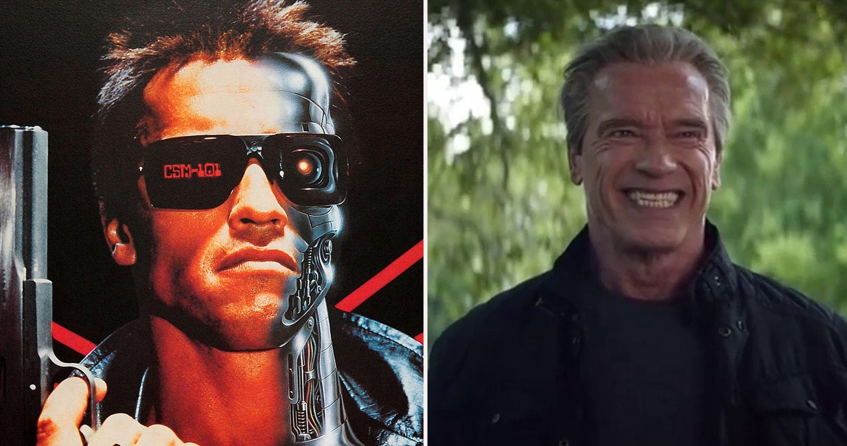 10 Terminator Logic Memes That Are Too Hilarious For Words - NEWSTARS ...