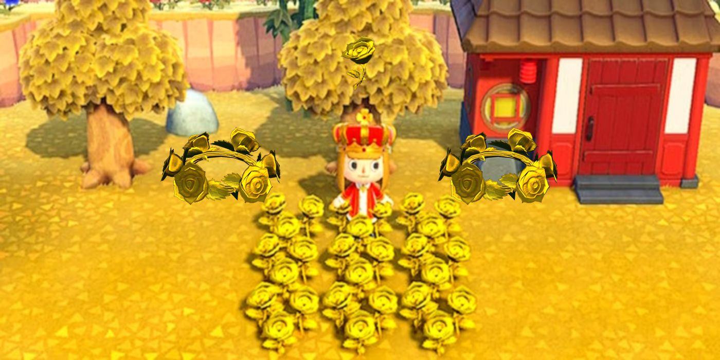 gold-roses-in-animal-crossing-how-to-grow-use-newstars-education