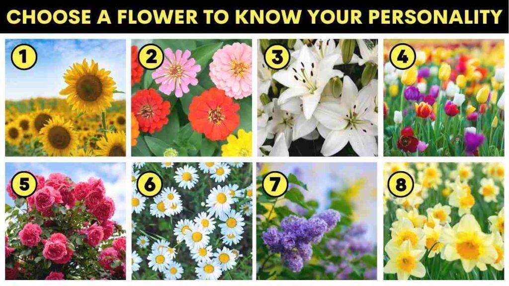 Personality test: the flower you choose reveals your hidden personality ...