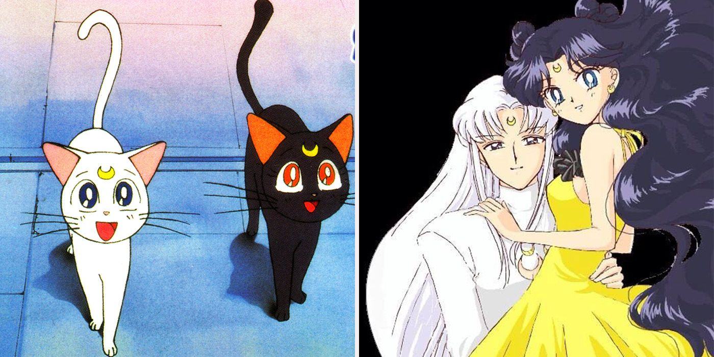 sailor-moon-15-things-you-didn-t-know-about-luna-and-artemis-newstars-education