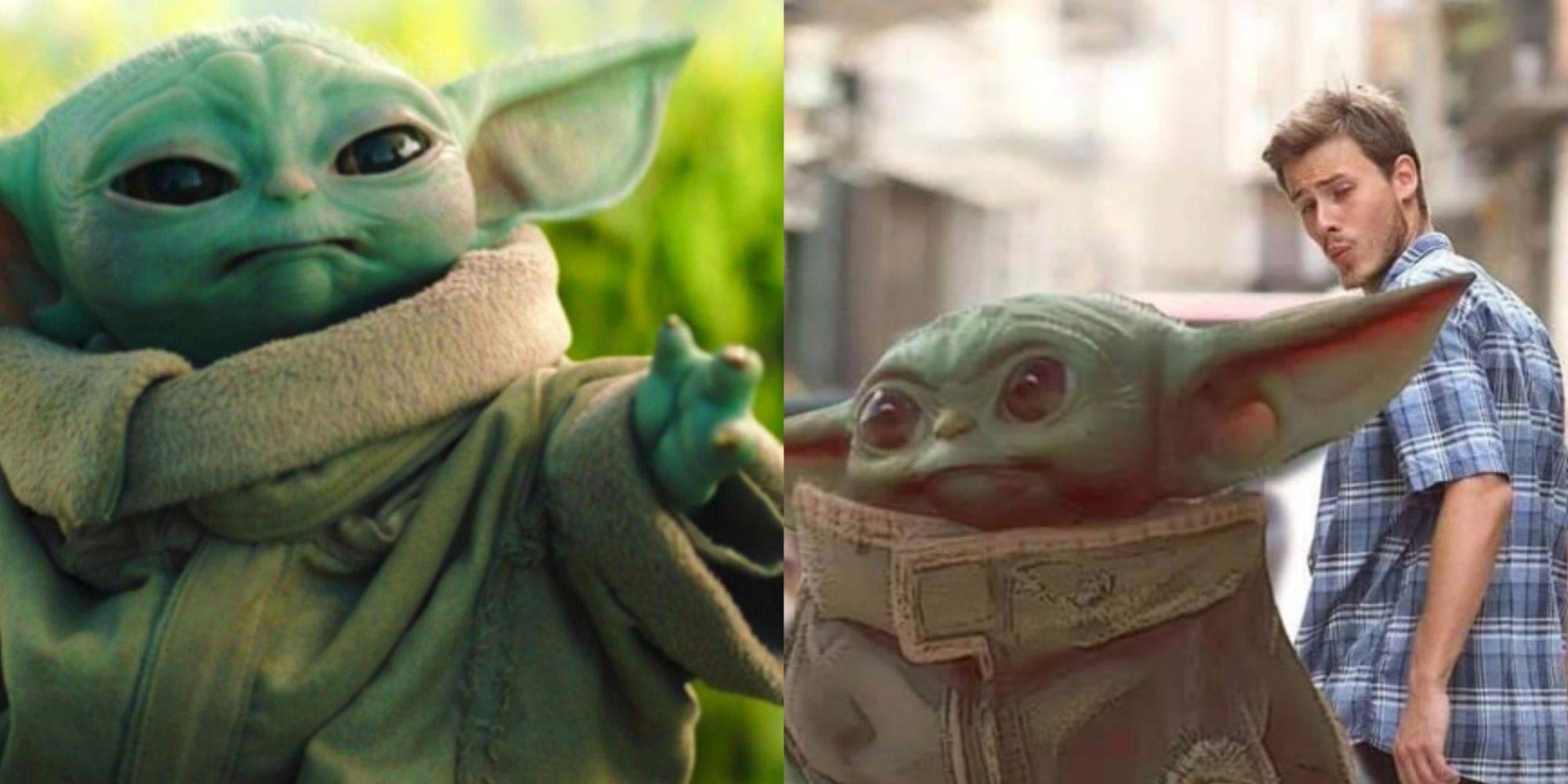 Star Wars:10 Grogu Memes That Show How He Would Fit In On Our Planet ...