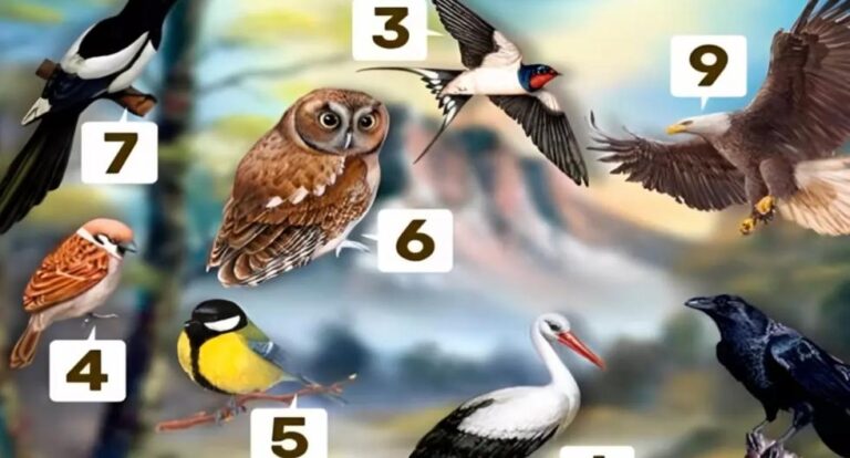 the-bird-you-choose-in-this-photo-will-determine-exactly-how-your