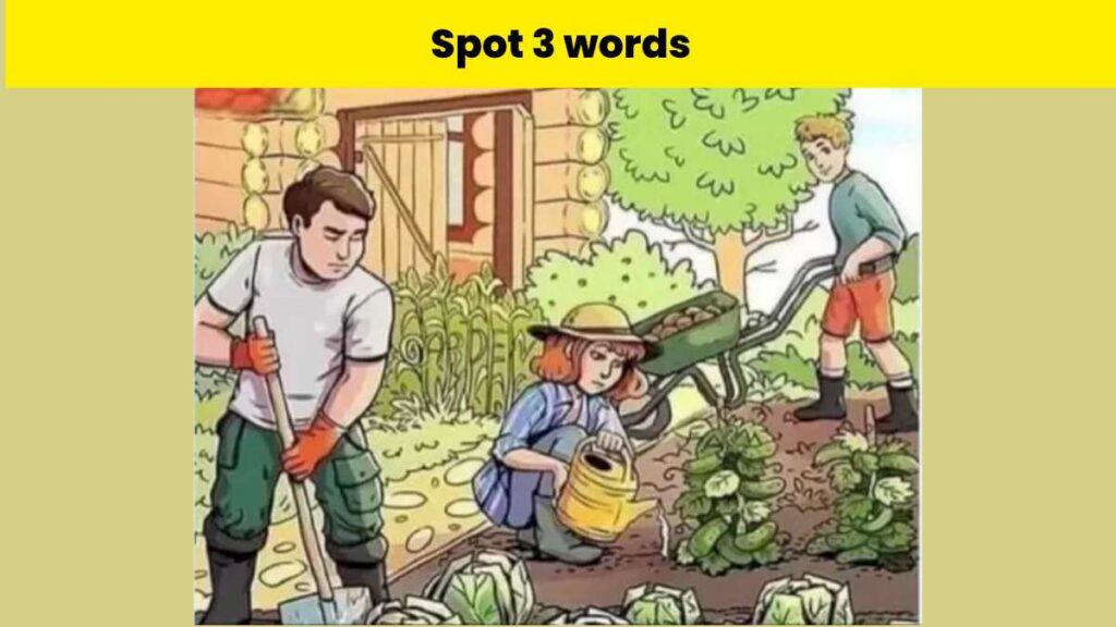 you-will-have-a-keen-eye-if-you-spot-3-hidden-words-in-the-garden