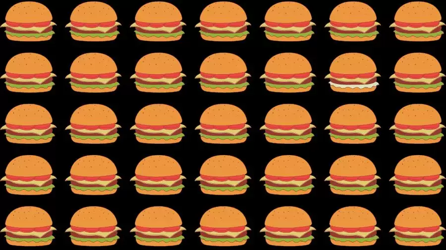 Optical Illusion Brain Test If You Have Eagle Eyes Find The Odd Burger In Seconds Newstars