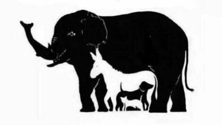 Viral brain puzzle: How many animals can you see in this pic? You have 10 seconds