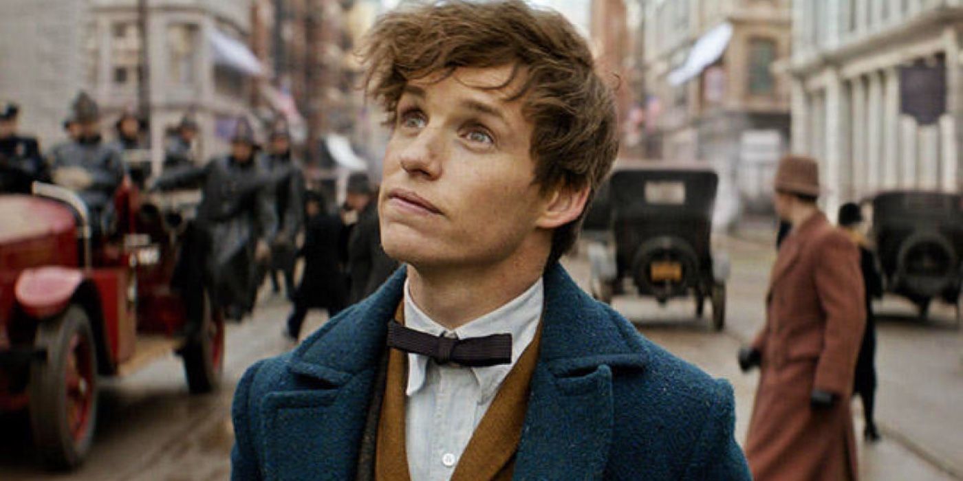 Fantastic Beasts Franchise Future Addressed By Director As Harry Potter Spinoff’s 5-Movie Plan In Doubt