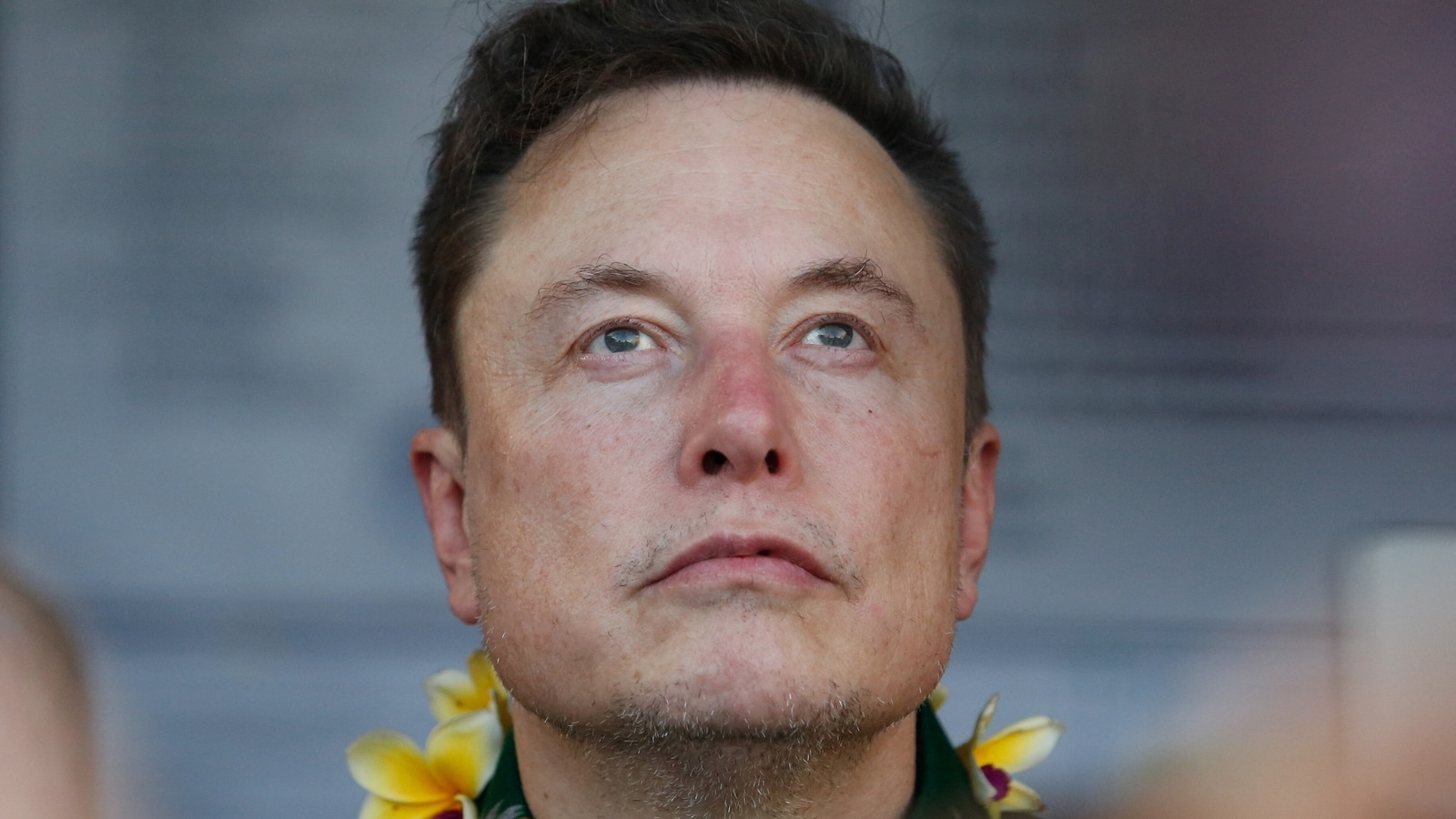 Elon Musk reacts to baseball coach’s ‘worst’ X feature post: ‘I love Twitter, but…’