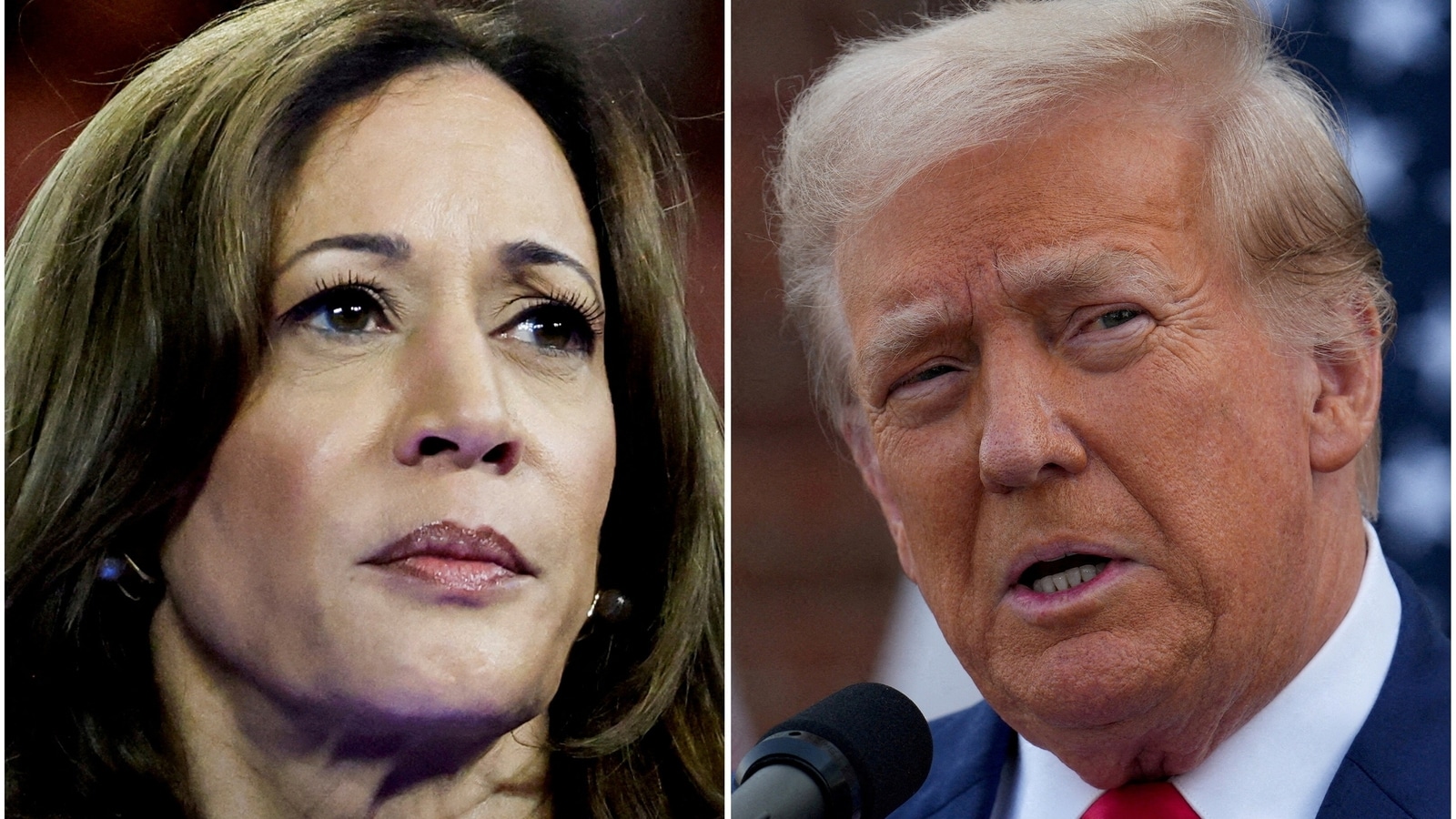 Who gets the millionaire vote: Kamala Harris or Donald Trump? Vlogger quizzes the rich